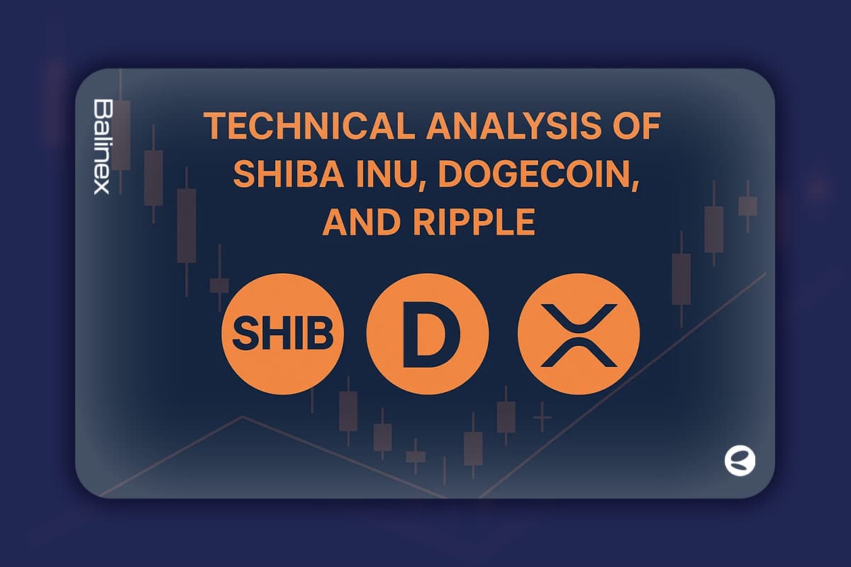 تحلیل تکنیکال شیبا اینو، دوج کوین و ریپل امروز ۱۶ آذر