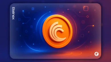 ارز بیت تورنت چیست؟ آشنایی کامل با توکن BTT