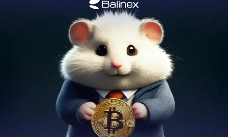 کد مورس همستر کامبت امروز 6 تیر + آموزش وارد کردن