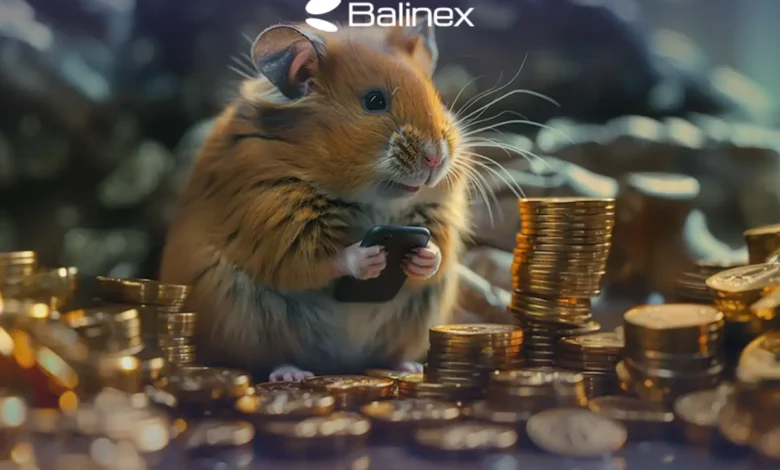 کد مورس همستر کامبت امروز 7 تیر + آموزش وارد کردن
