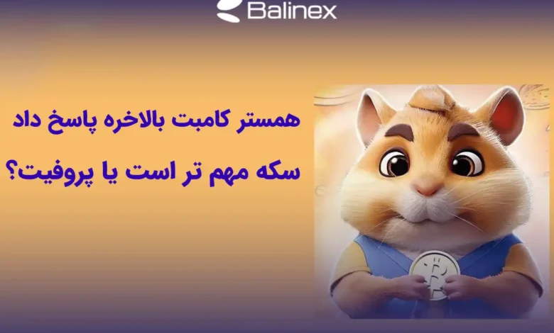 تیر خلاص همستر به کاربران، پروفیت مهم تر است یا سکه؟
