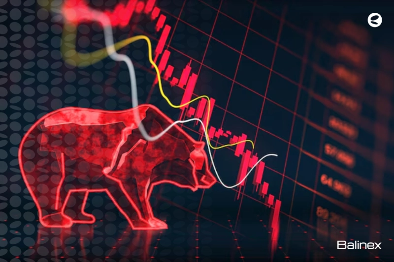 بازار خرسی چیست؟