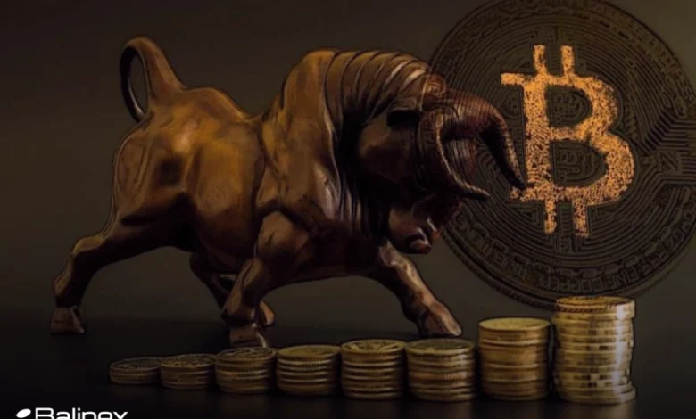 احتمال رشد بیت کوین تا 105000 دلار وجود دارد!