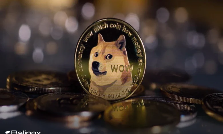 ورود نهنگ ها به دوج کوین! رشد 50 درصدی در انتظار DOGE؟