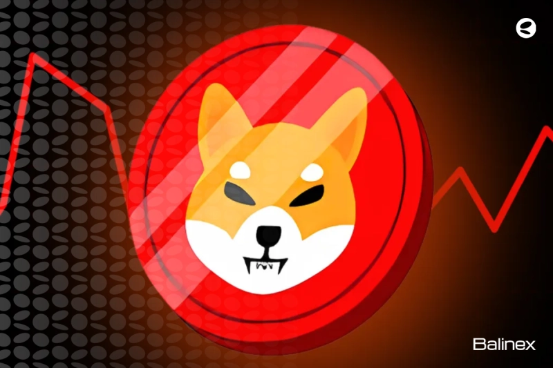 آینده قیمت شیبا (SHIB) | پیش بینی قیمت شیبا تا 2030