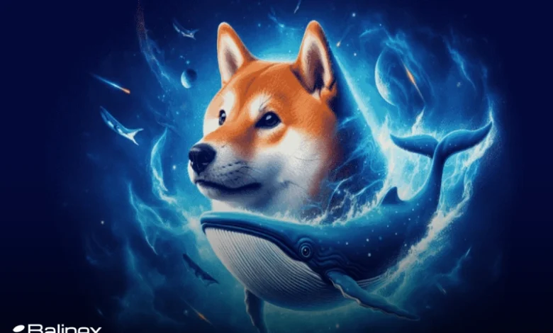 فعالیت بی سابقه نهنگ های دوج کوین؛ رشد DOGE نزدیک است؟