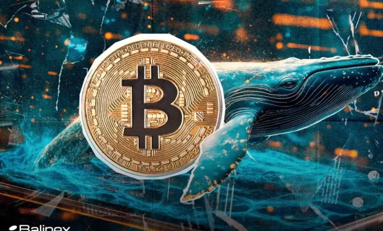 بازگشت غول خاموش BTC؛ کیف پول ۱۰ ساله بیت کوین دوباره فعال شد!