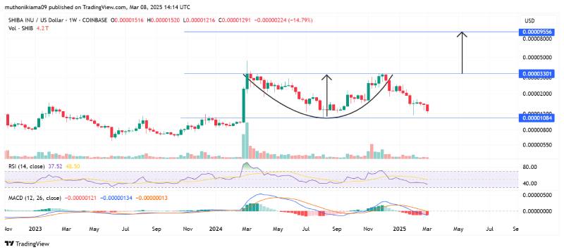 نمودار شیبا