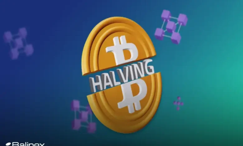 آیا استخراج بیت کوین بعد از هاوینگ ۲۰۲۴ همچنان سودآور است؟