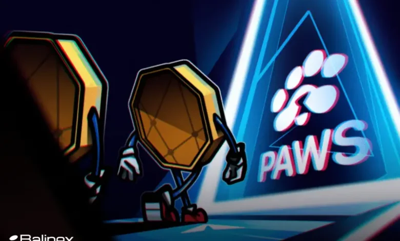 مهاجرت PAWS به سولانا؛ تغییر بزرگ در دنیای بلاک چین!