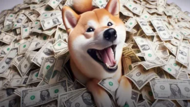 تحلیل تکنیکال شیبا امروز 18 اسفند؛ رشد 62 درصدی در انتظار SHIB؟