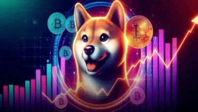 تحلیل تکنیکال شیبا امروز 19 اسفند؛ SHIB آماده پرواز است؟