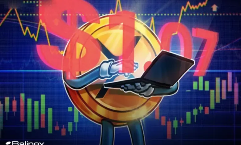 زنگ خطر برای سرمایهگذاران ریپل؛ ریزش ۵۰٪ XRP در راه است؟