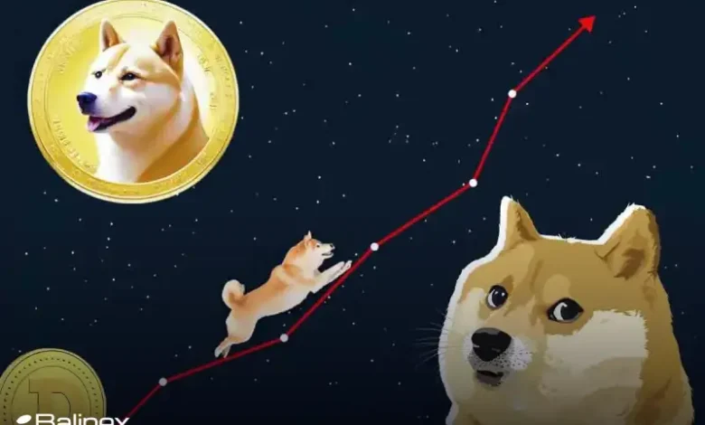 رشد 900 درصدی در انتظار دوج کوین؛ آیا قیمت DOGE 10 برابر می شود؟