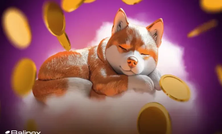 کاهش ۱۲ درصدی ارزش دوج کوین؛ آیا DOGE وارد روند صعودی می شود؟