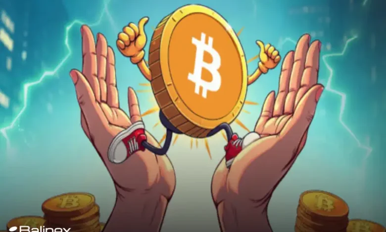برگشت مجدد نهنگ ها به فاز خرید؛ آیا قیمت بیت کوین افزایش پیدا می کند؟