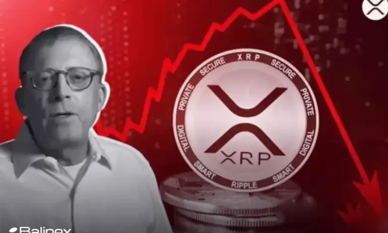 پیش بینی سقوط 50 درصدی قیمت ریپل؛ آیا XRP دامپ می شود؟