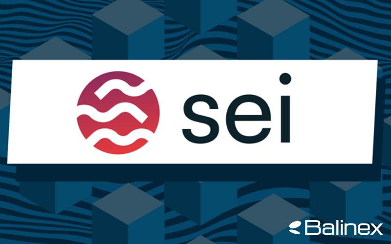 امنیت سی چگونه تامین می شود؟