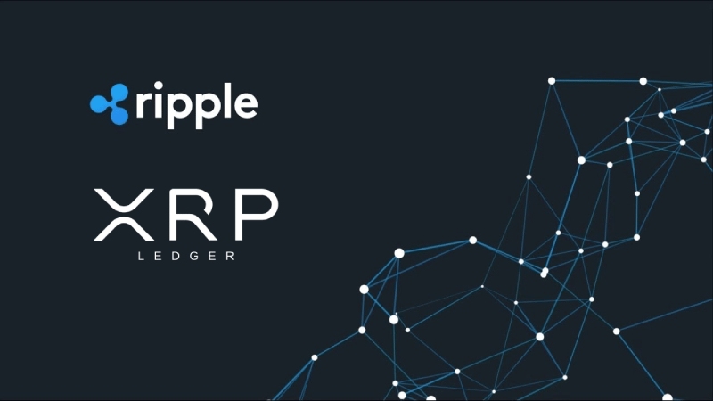 شبکه اصلی ریپل برای تراکنشها، XRP Ledger است.