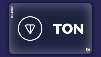 فوری: پیش بینی جنجالی قیمت تون کوین؛ رشد ۵ برابری تا ۲ سال آینده!