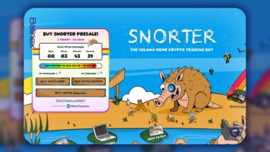 اسنورتر با پیش فروش ۴ میلیون دلاری میم کوین ها را تکان داد!