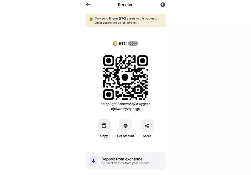 دریافت بیت کوین در تراست ولت