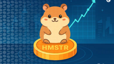 پیش بینی آینده قیمت همستر کامبت | آینده قیمت HMSTR تا 2030