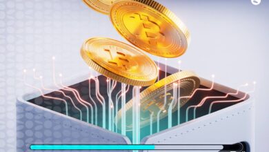 بازیابی بیت کوین های گمشده ممکن است؟ 0 تا 100 برگرداندن BTC گمشده