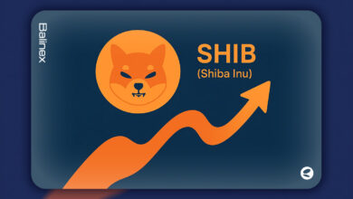 سیگنال های متناقض شیبا اینو | آیا SHIB آماده صعود است؟