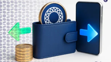 واریز و برداشت از مای تون ولت | آموزش 0 تا 100 MyTonWallet