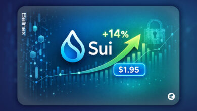 سویی با افزایش ۱۴ درصدی، از بیت کوین و اتریوم هم پیشی گرفت!