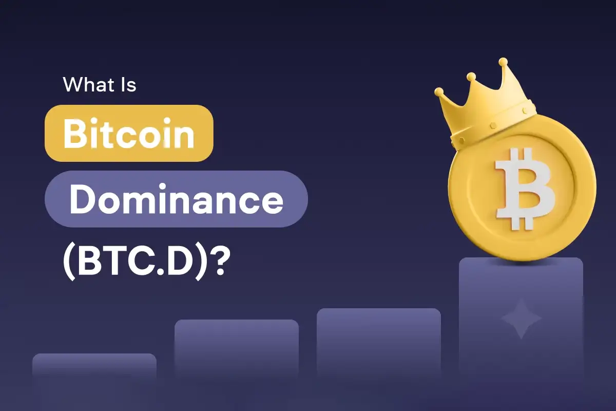 دامیننس بیت کوین چیست؟ آموزش کسب سود از BTC.D