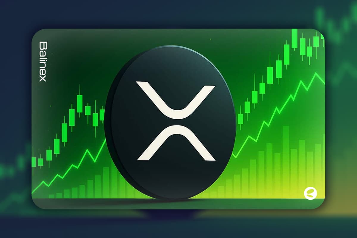 رالی بازار کریپتو با پایان تعطیلی دولت آمریکا | XRP و ZEC پیشتاز این صعود