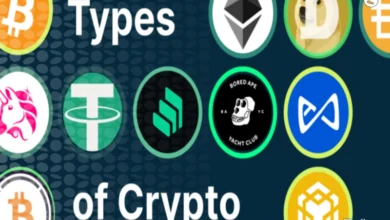 انواع کوین ها در ارز دیجیتال | 0 تا 100 دسته بندی ارزهای دیجیتال