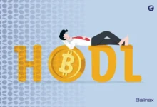 هولدر ارز دیجیتال کیست؟ + بهترین ارزها برای HODL ارز دیجیتال
