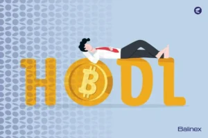 هولدر ارز دیجیتال کیست؟ + بهترین ارزها برای HODL ارز دیجیتال