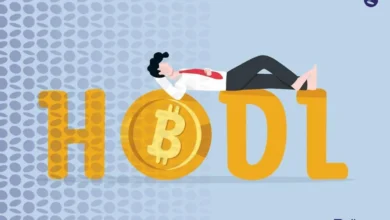 هولدر ارز دیجیتال کیست؟ + بهترین ارزها برای HODL ارز دیجیتال