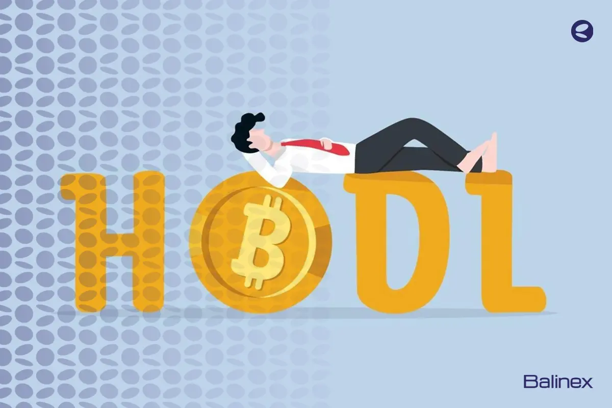 هولدر ارز دیجیتال کیست؟ + بهترین ارزها برای HODL ارز دیجیتال