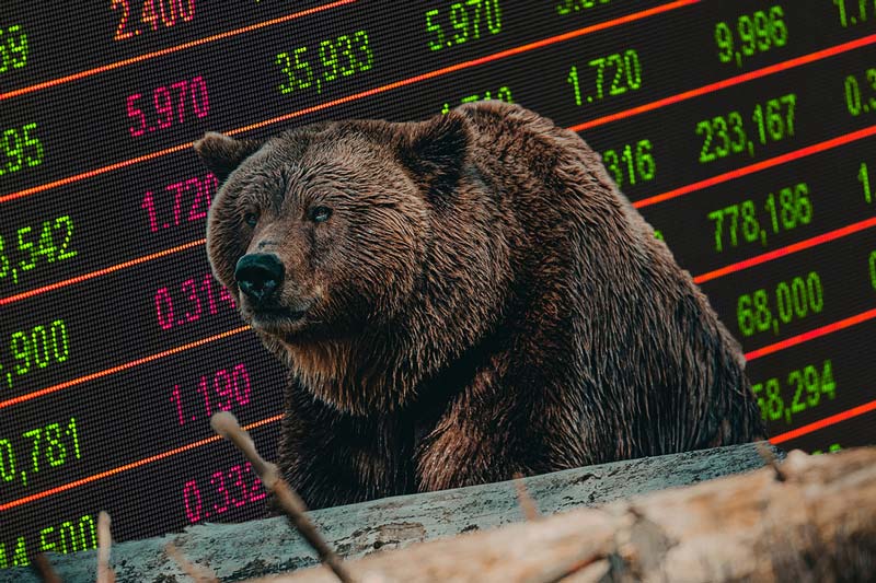 بازار خرسی (Bear Market)