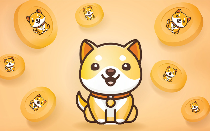 ویژگی‌های ارز دیجیتال  Baby Doge