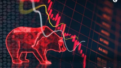 بازار خرسی چیست؟