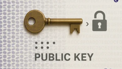 کلید عمومی (Public Key) چیست؟