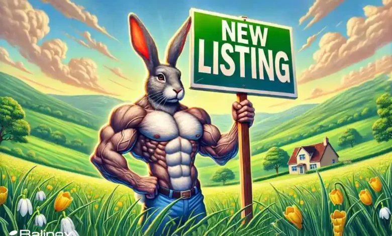 راکی رابیت لیست شد + فروش راکی رابیت با بهترین قیمت