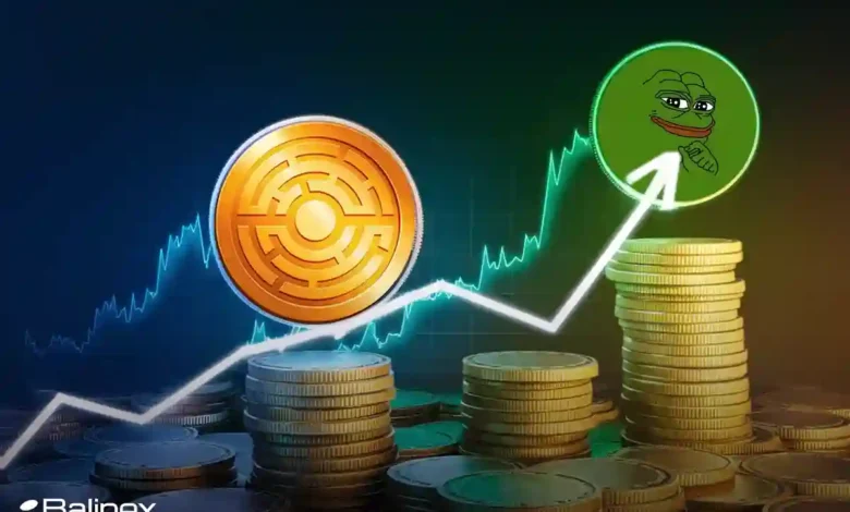 صعود قیمتی پپه (PEPE) | آیا سقف تاریخی جدید در راه است؟