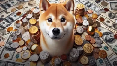 پیش بینی رشد انفجاری قیمت شیبا (SHIBA INU) | امروز 4 دی 1403