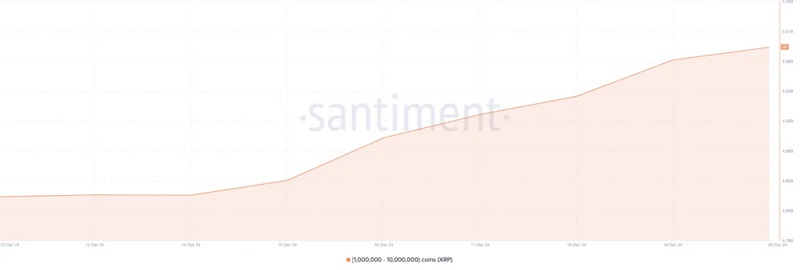 نمودار انباشت نهنگ‌های XRP