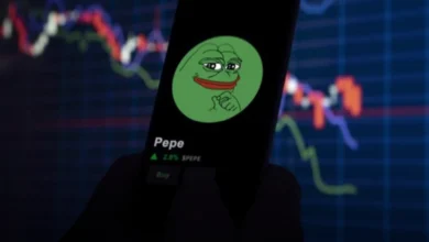 کسب سودهای میلیون دلاری توسط سرمایه گذاران پپه (Pepe)!