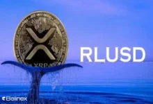 سرانجام استیبل کوین ریپل تایید شد؛ RLUSD در بازار!