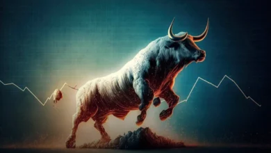 بولران چیست؟ دلایل ایجاد Bull Run در بازار ارزهای دیجیتال