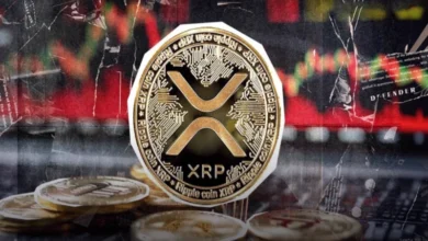 تحلیل تکنیکال ریپل امروز 24 دی؛ XRP در آستانه رشد شارپ!